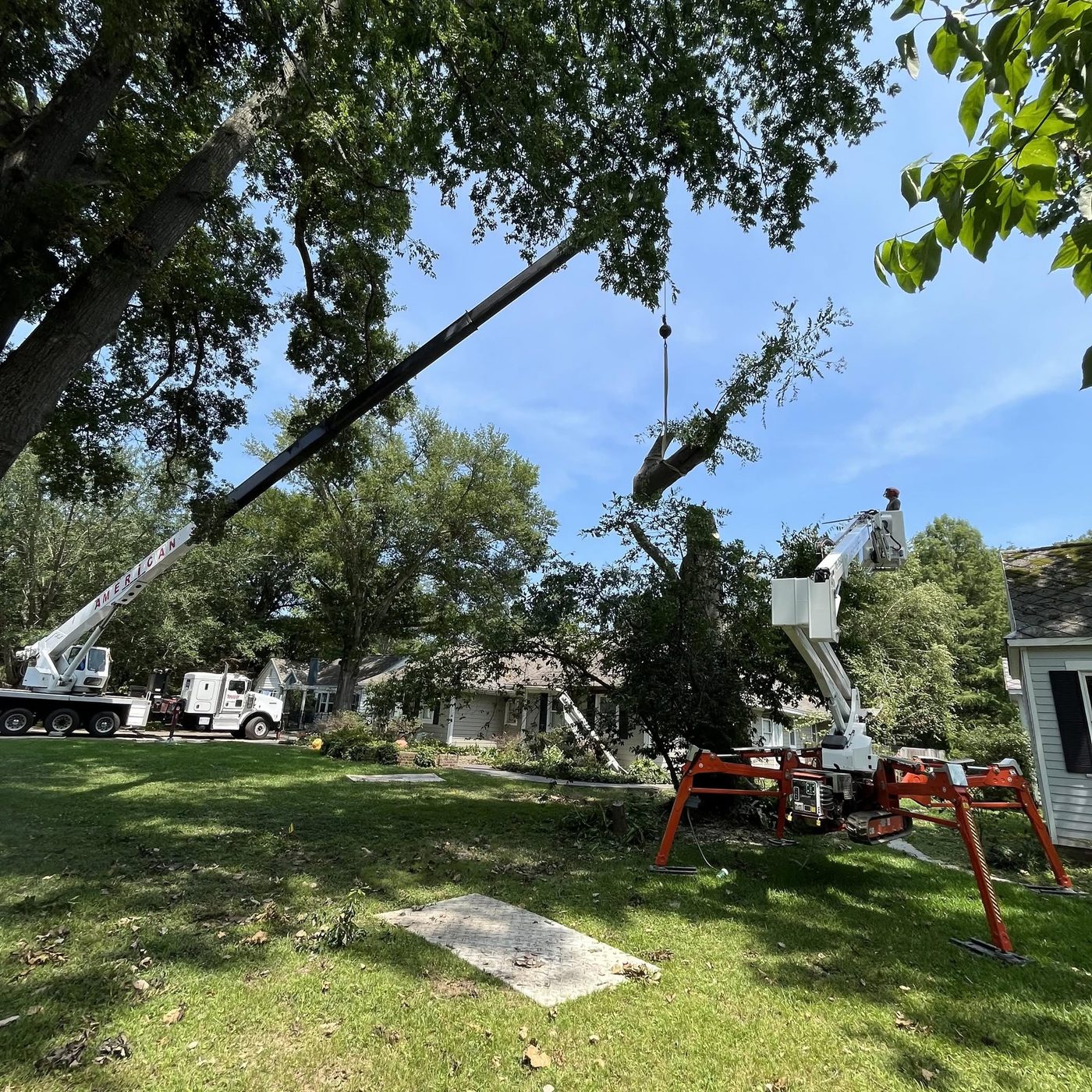 Crane removal on a residential lot