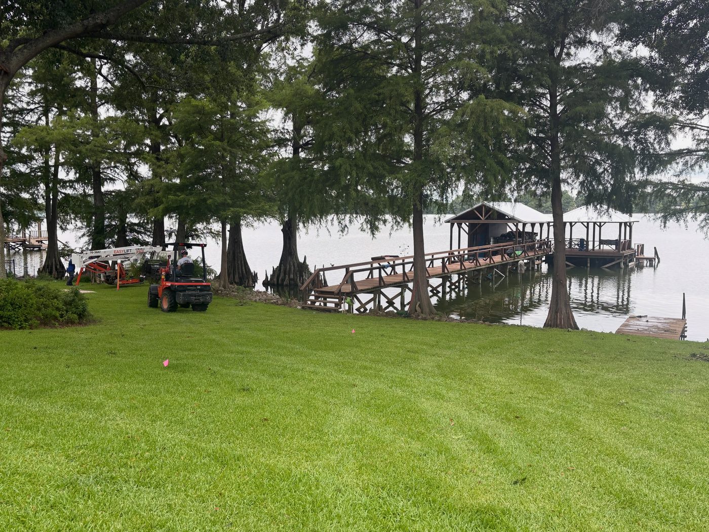 Waterfront tree work
